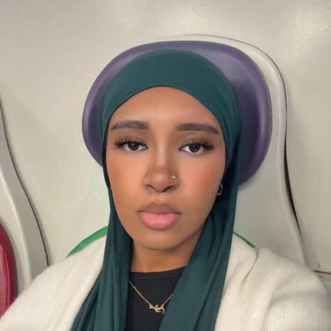 Babysitter in Novara: Meriem