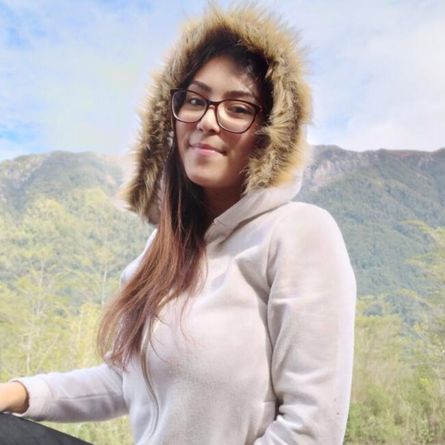 Babysitter in Port Montt: Katherinne