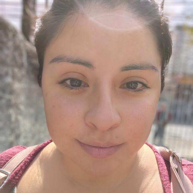 Babysitting job in Santiago: Karina