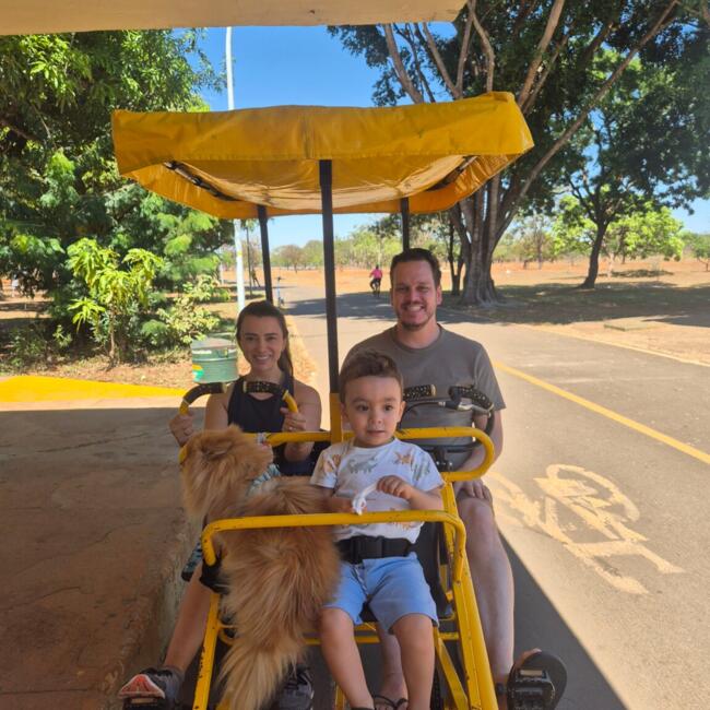 Babysitting job in Brasília: Kassiane