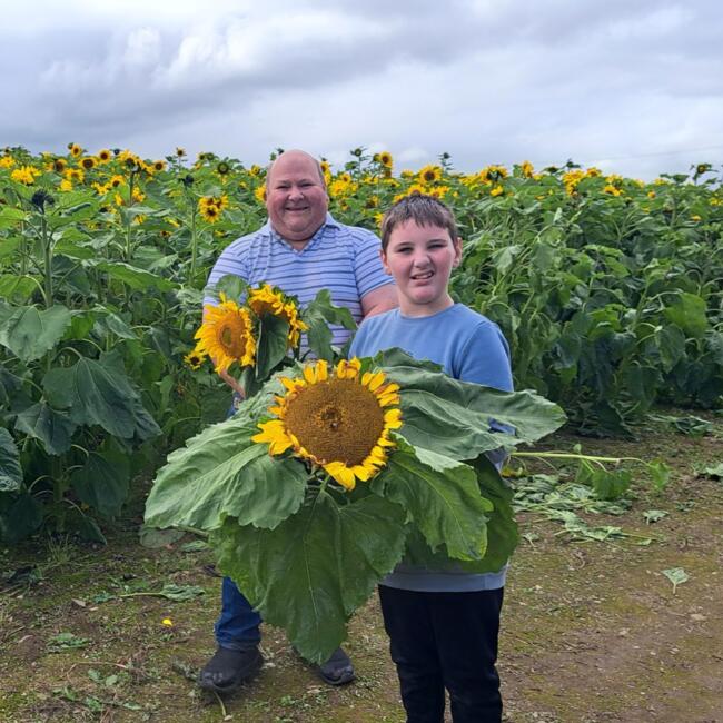 Babysitting job in Castlederg: David