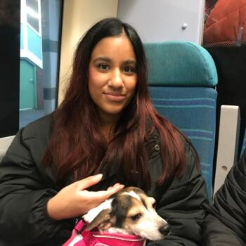 Babysitter in Orpington: Mahi