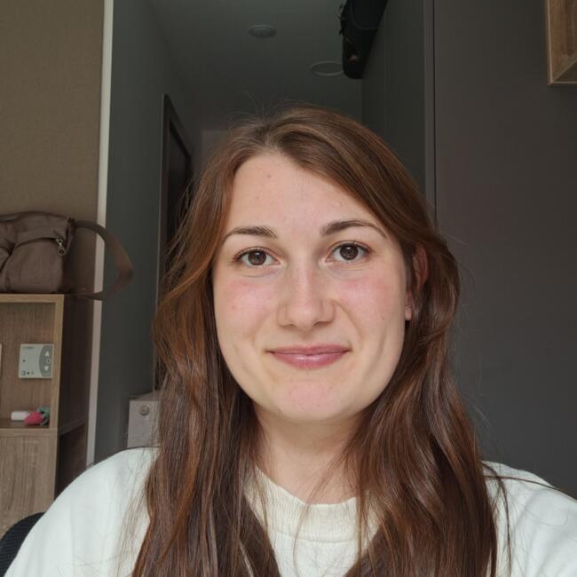 Babysitter in Caen: Romane