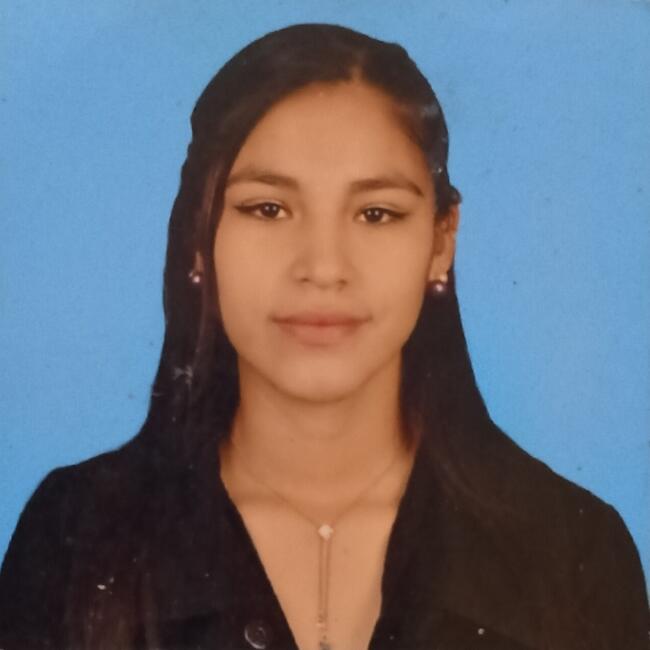 Niñera en Santa Cruz de la Sierra: Lilian Yubel