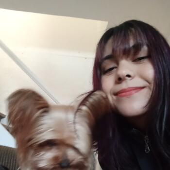 Babysitter in La Serena: Antonella