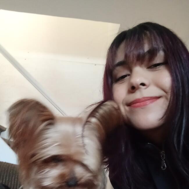 Babysitter in La Serena: Antonella