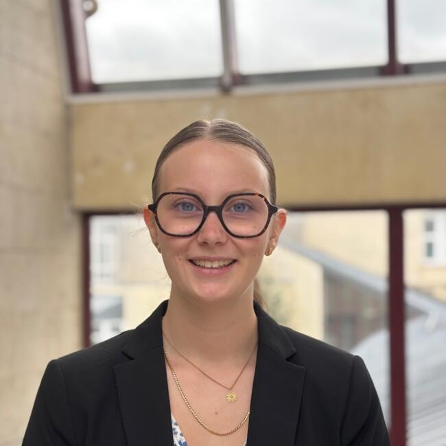 Babysitter in Grenoble: Romane