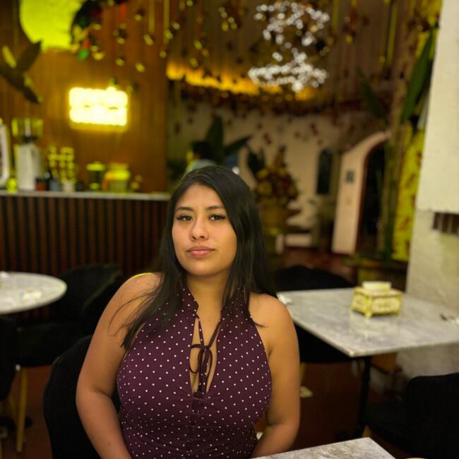 Babysitter in Toluca: Romina