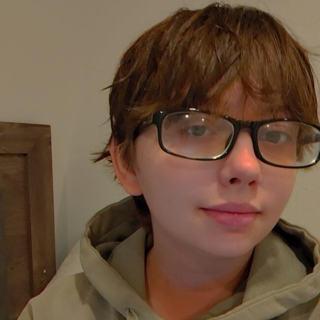 Babysitter in Cotati: Gage