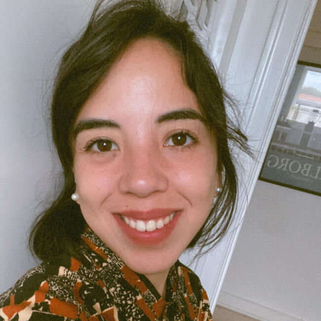 Babysitter i Frederiksberg: Mariel emilce Rodriguez