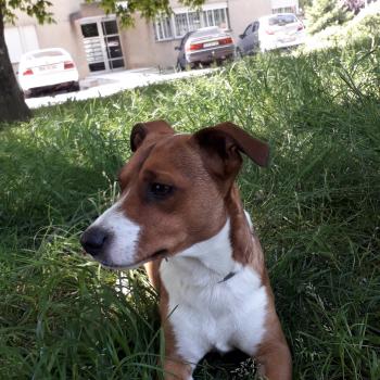 Babysitter Vila Nova de Gaia: ANA