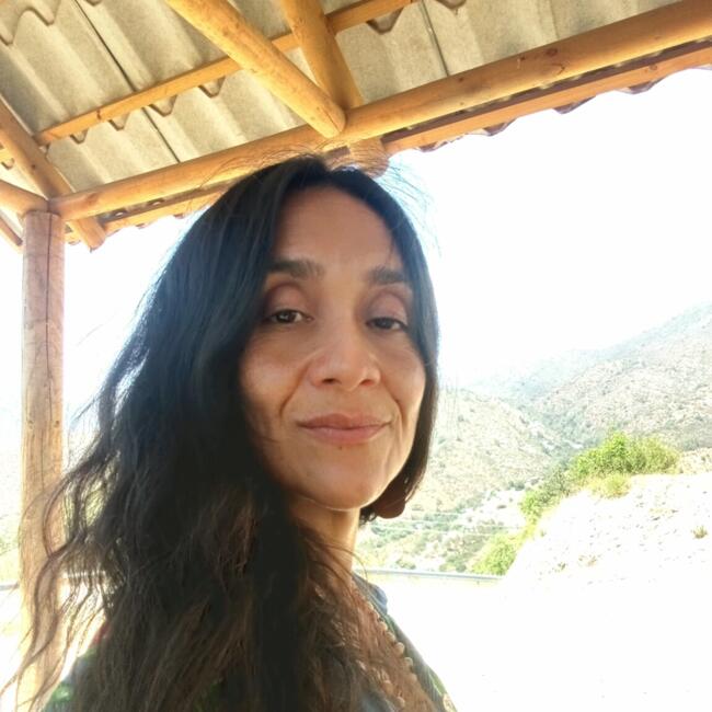 Babysitter in Limache: Karem