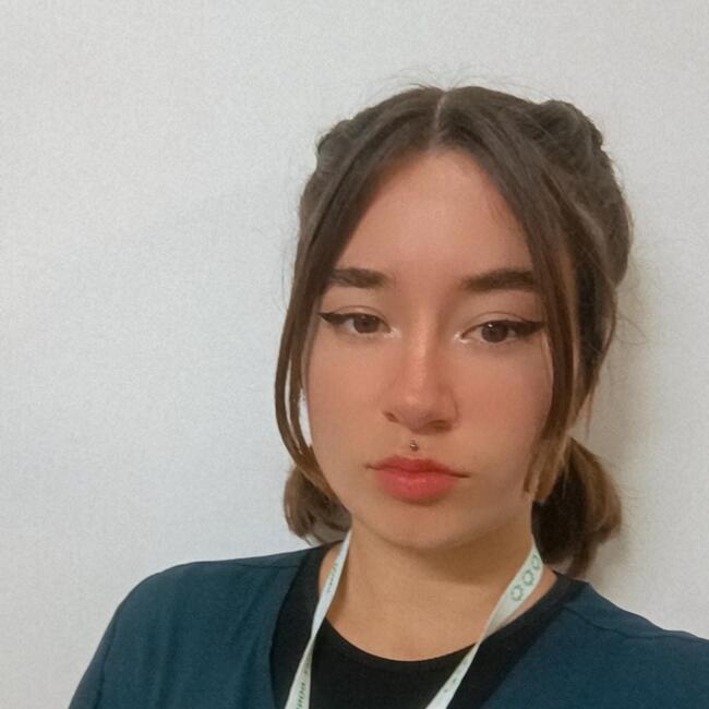 Niñera en Santiago de Chile: Alexandra Francisca