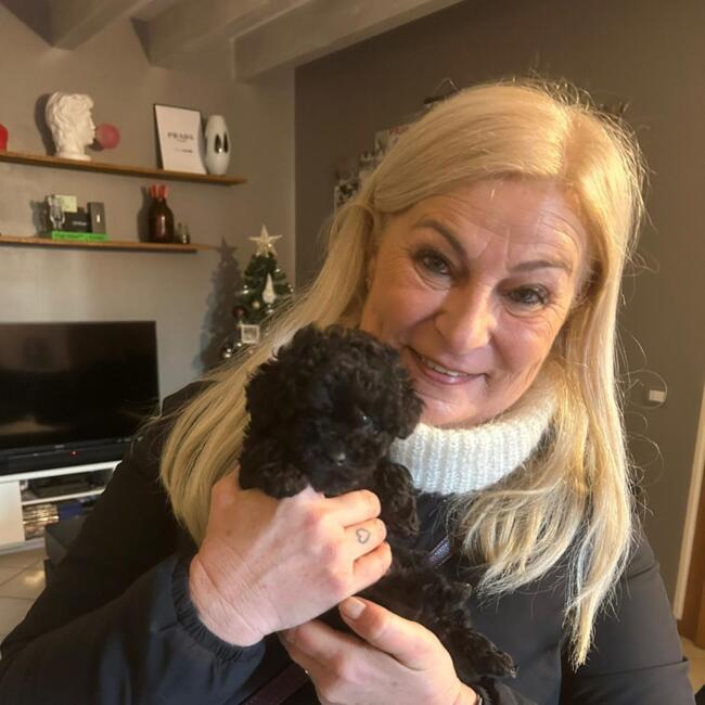 Babysitter in Albignasego: Roberta