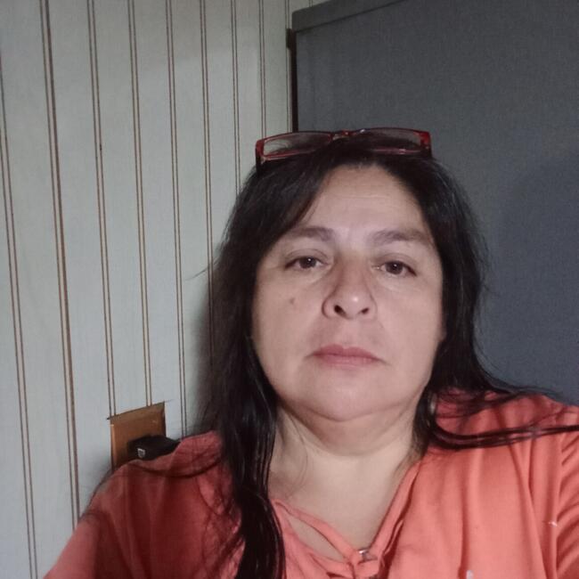 Babysitter in Padre Las Casas: Erika roxana