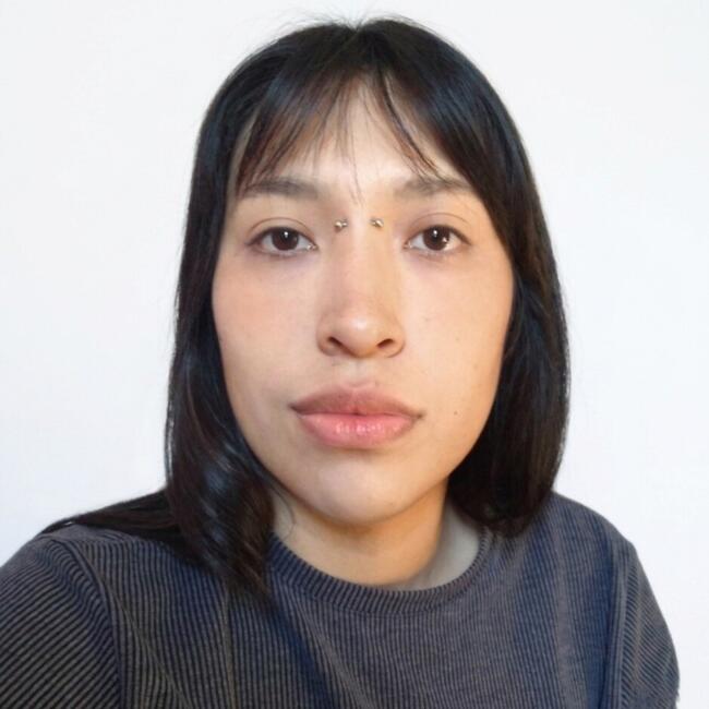 Babysitter in Lomas de Zamora (Buenos Aires): Camila