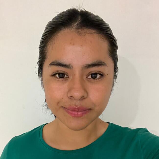 Niñera en Naucalpan de Juárez: Mireya