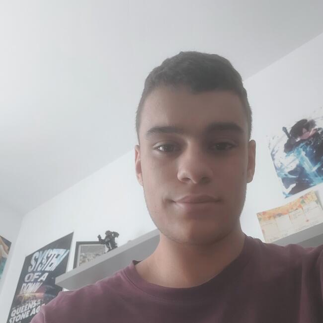 Babysitter in Bruguières: Noah