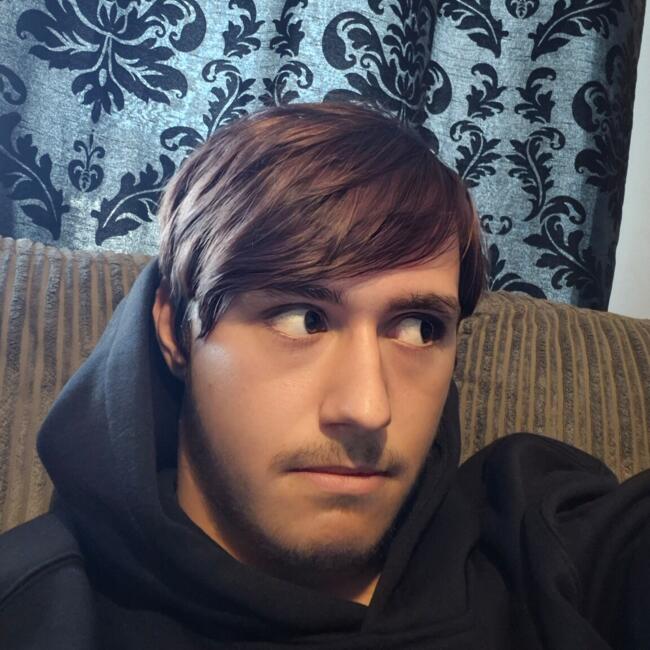 Babysitter in Havant: Oscar
