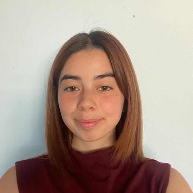 Babysitter in Santiago: Carolina