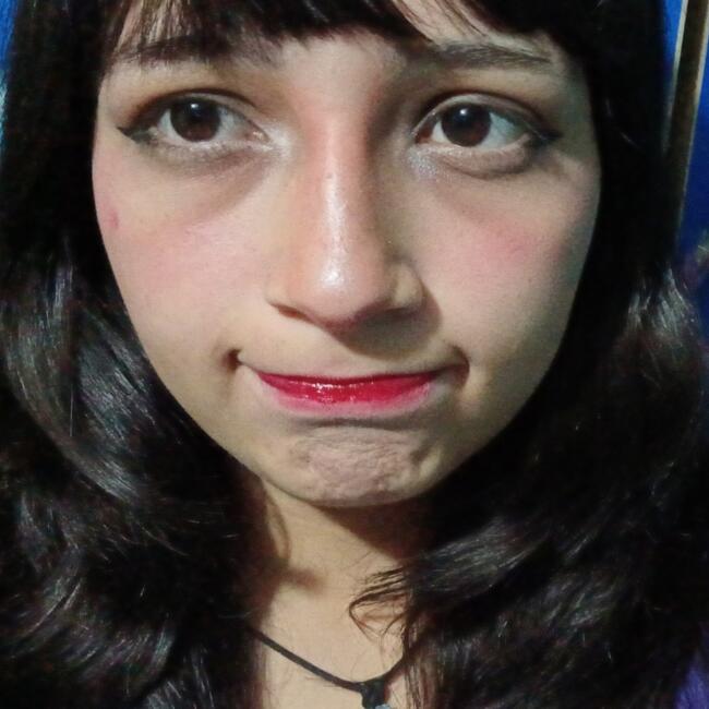 Babysitter in Melipilla: Fran