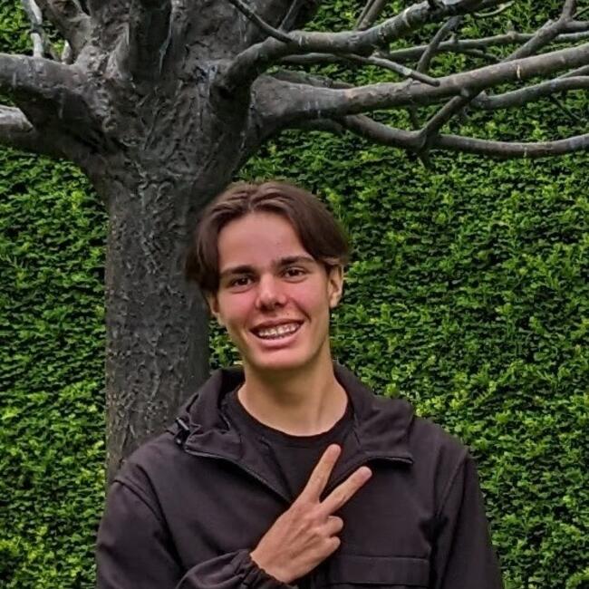 Babysitter in Grenoble: Aaron