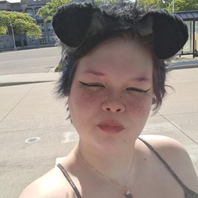 Babysitter in Port Huron: Sylv