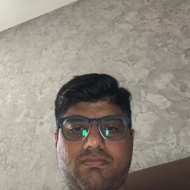 बंगलौर में बेबीसिटिंग की नौकरी: Vinayak