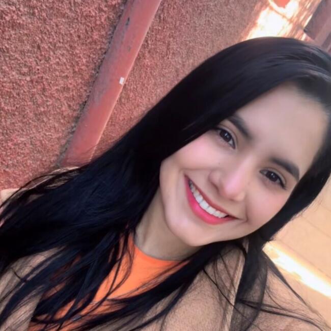 Babysitter in Santiago: Milena carolina Salazar R