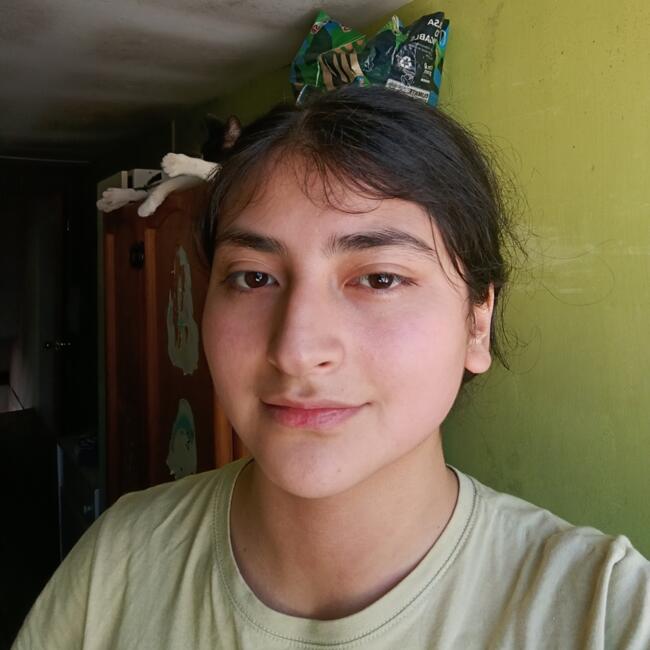 Babysitter in La Serena: Dellanira