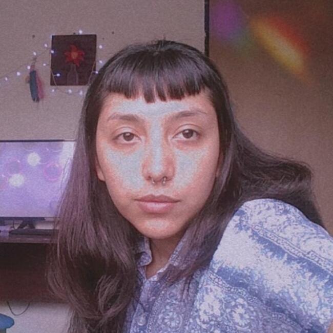 Baby-sitter in Comodoro Rivadavia: Camila