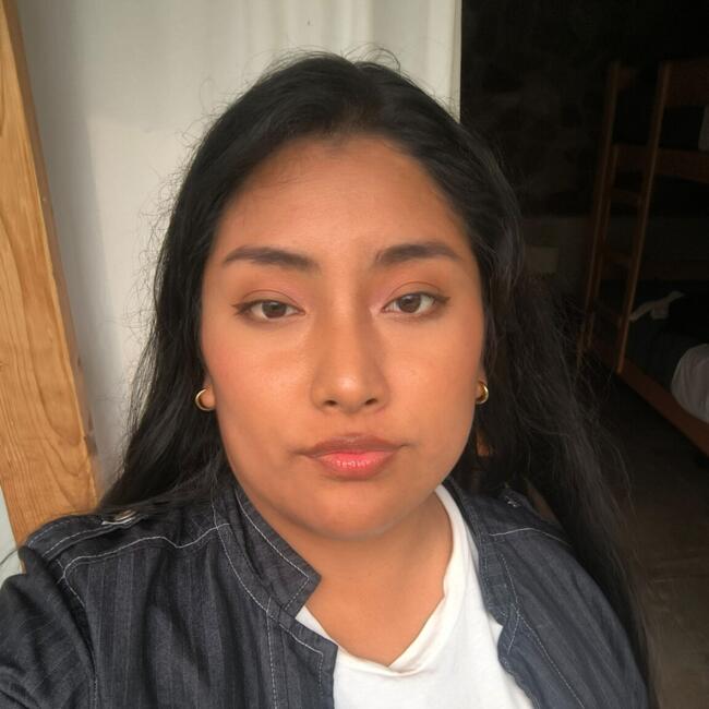 Niñera en San Juan (Lima): Mayra Quispe puma