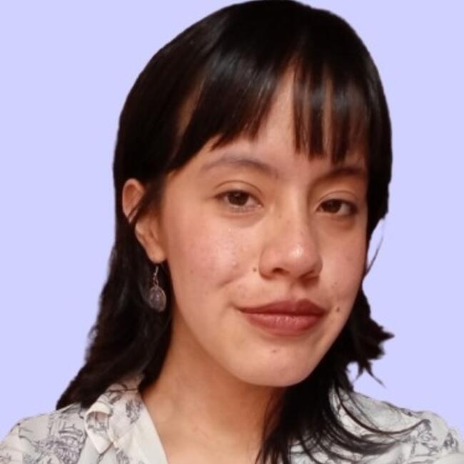 Niñera en Bogotá: Maria