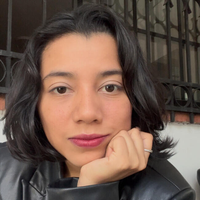 Niñera en Arraiján: Ahsly Ramirez