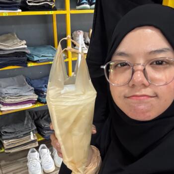 Lastenhoitaja Kota Bharu: Insyirah