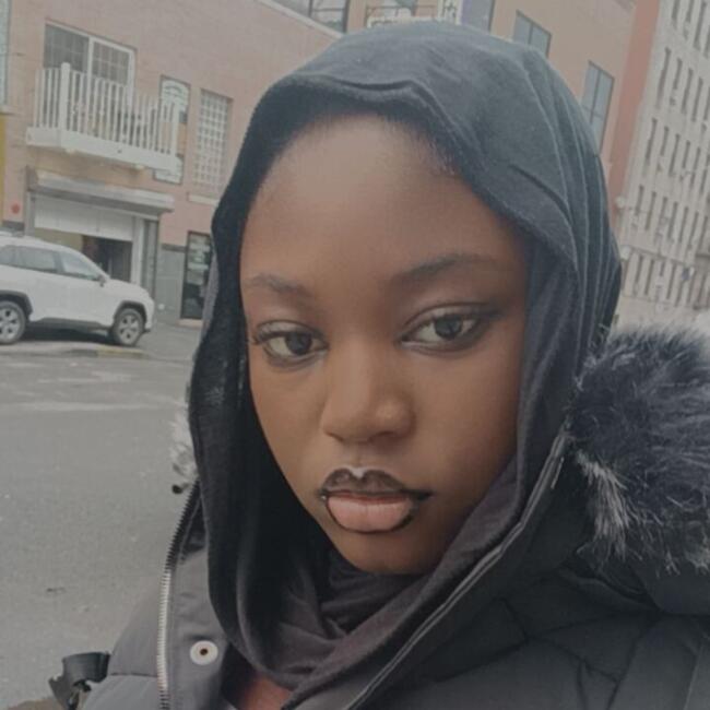 Babysitting job in The Bronx: Saida