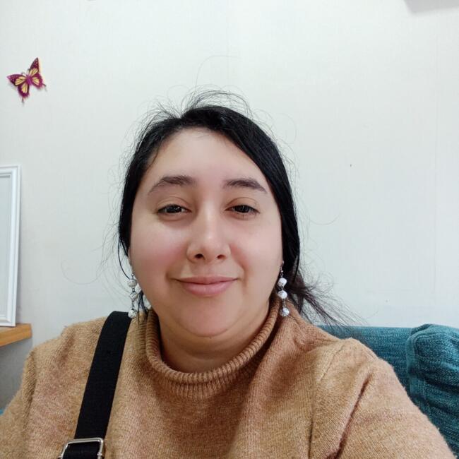 Babysitter in Valdivia: Denis