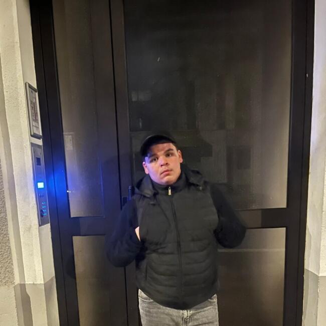 Babysitter in Nantes: Youness