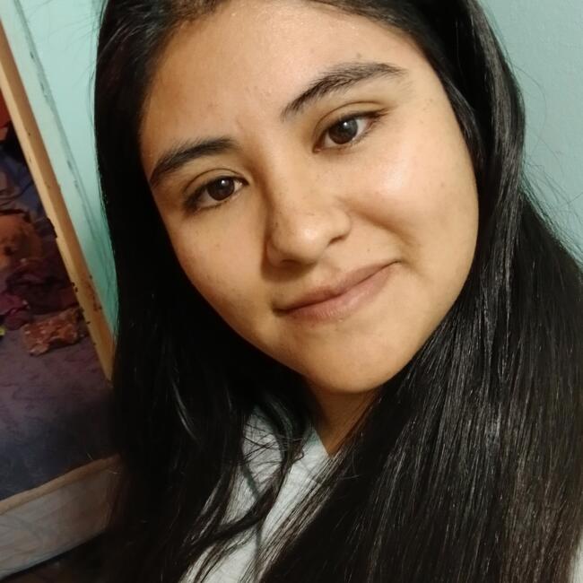 Niñera en Alto Hospicio: Constanza