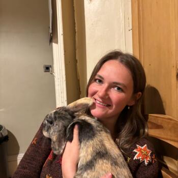 Babysitter in Dublin: Ailish