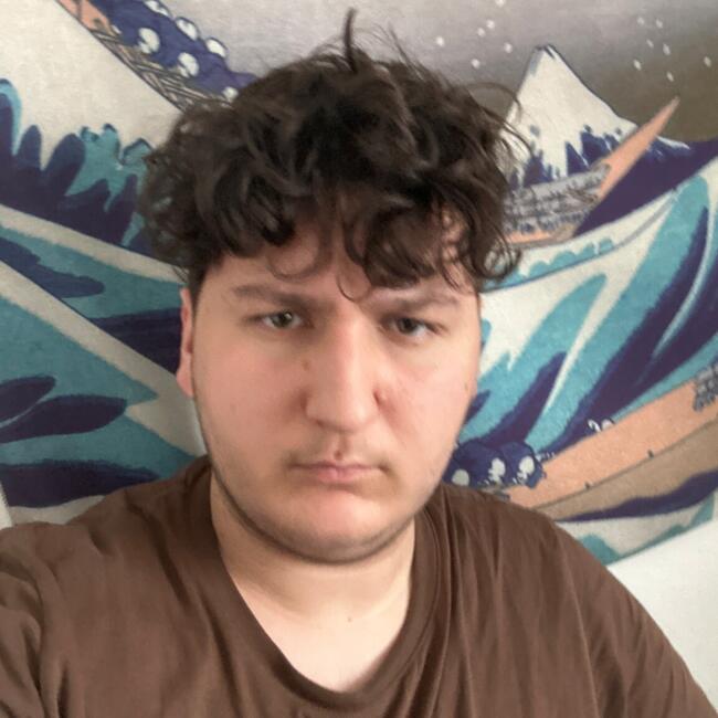 Babysitter in Thionville: Antoine