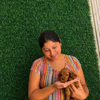 Babysitter in Arequipa: Kathy