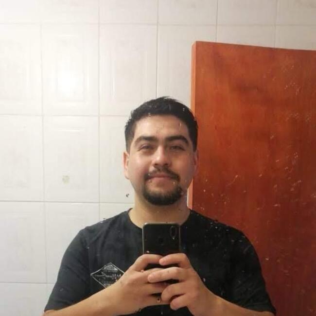 Babysitting job in Coquimbo: Ulises