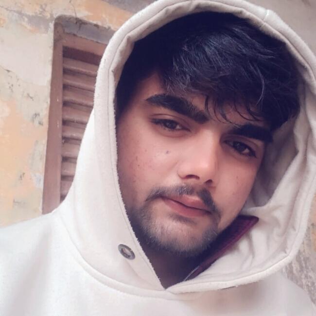 Babysitter in Greater Noida: Vijay