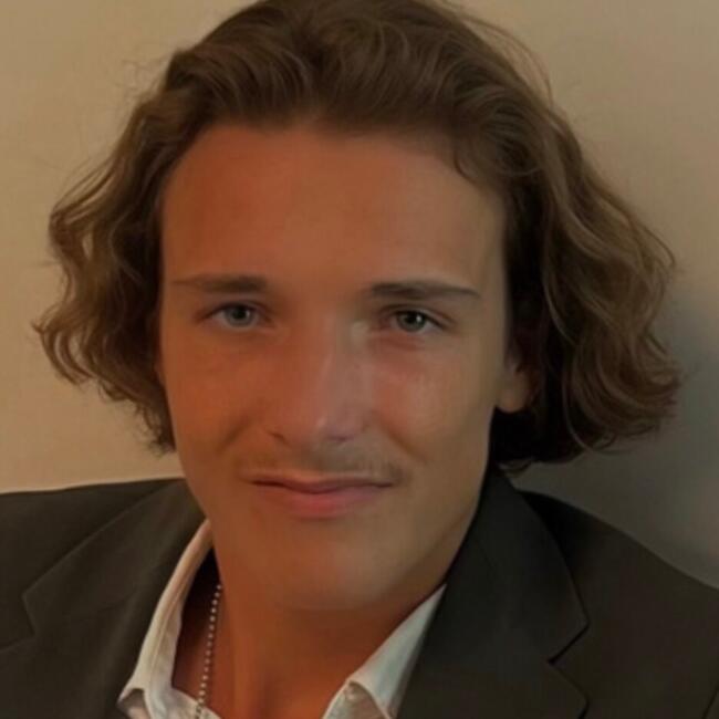 Babysitter in Boulogne-Billancourt: Jules