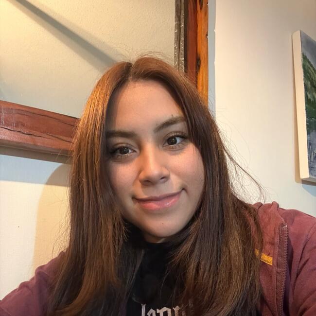 Babysitter in Coquimbo: Daniela
