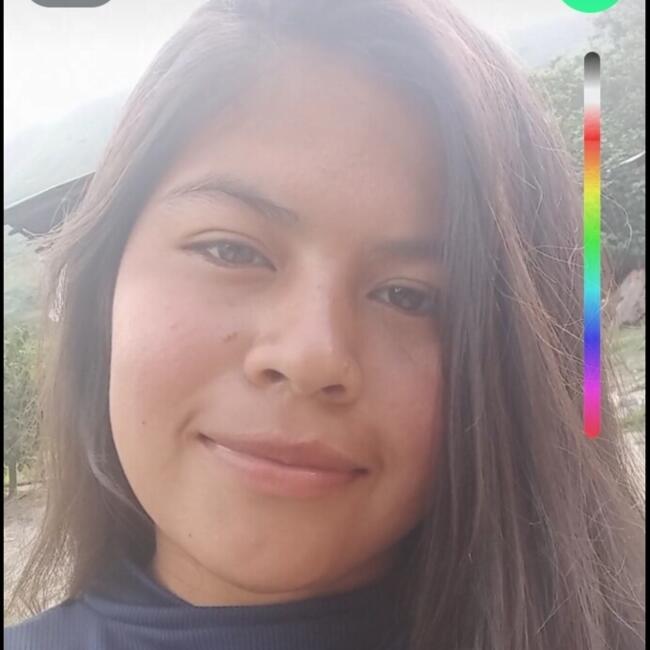 Niñera en Pucará (Provincia de Jaén): Lisbeth
