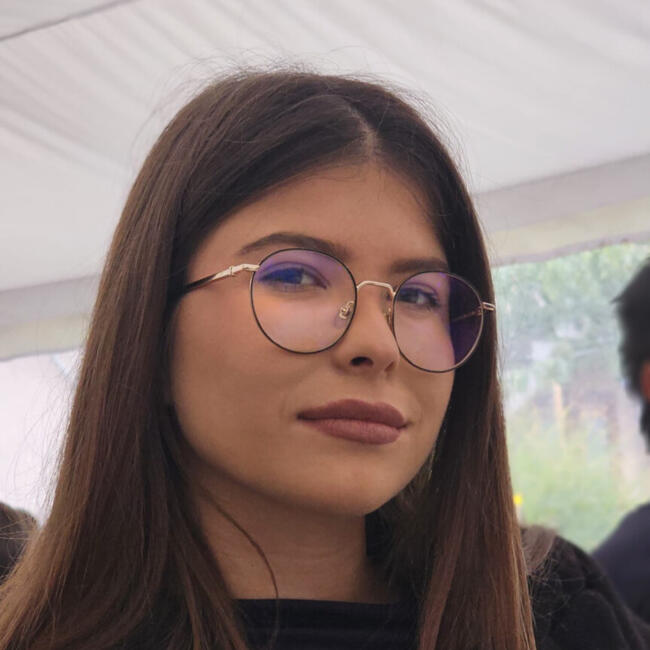 Dadilja u Lipolist: Milica