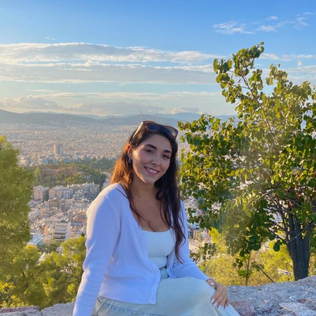 Babysitter in Zografos: Νομική