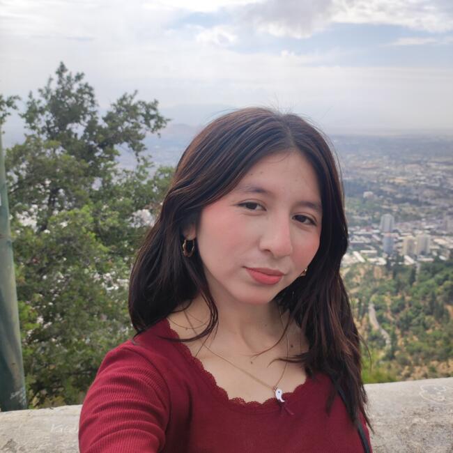 Babysitter in Santiago: Julie